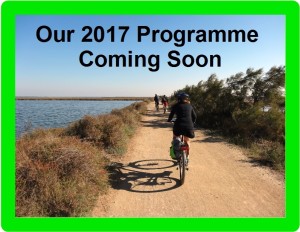 2017 Programme Image-001